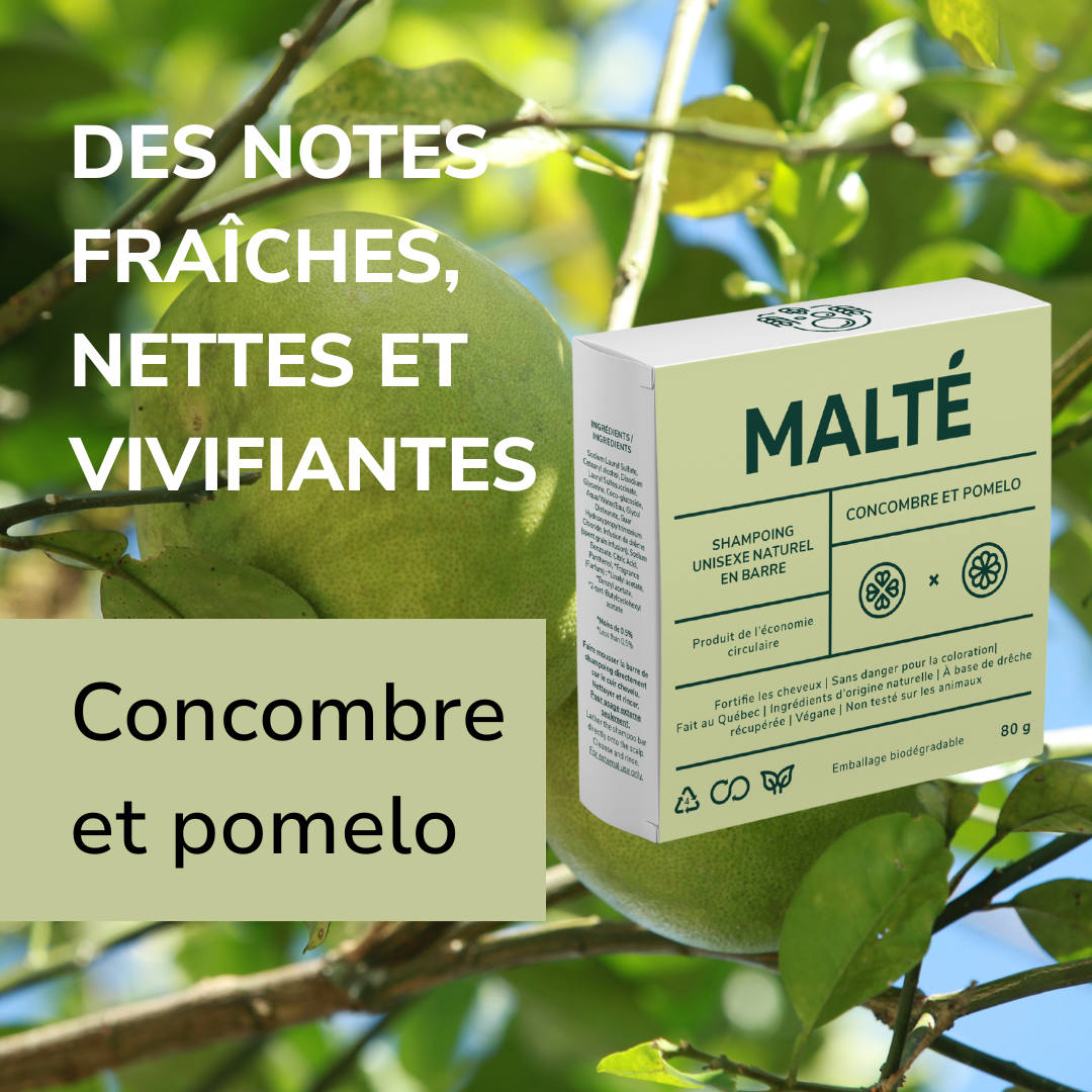 Duo Shampoing et Revitalisant en barre - Concombre & Pomelo