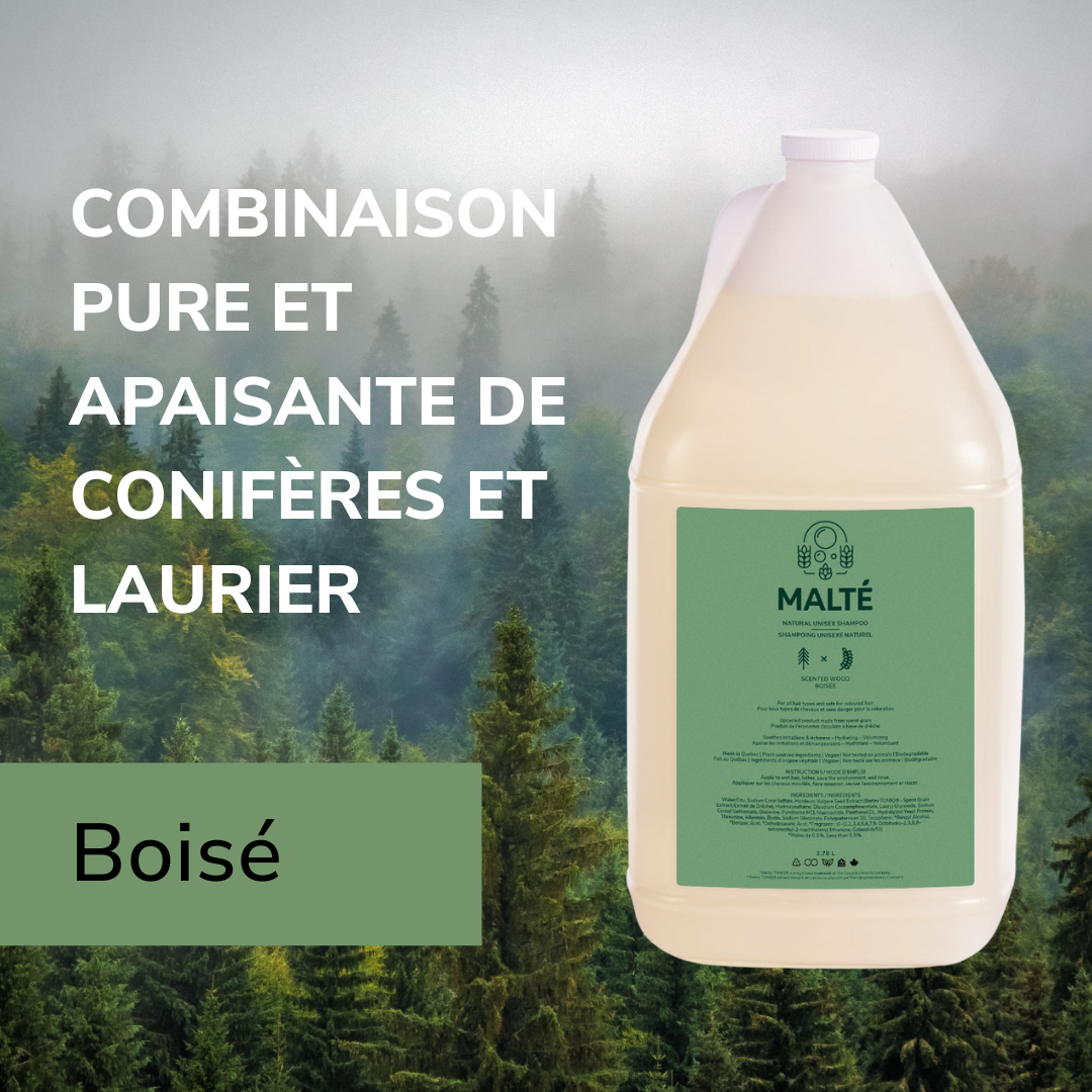 Shampoing naturel unisexe hydratation et volume (Boisé) - 3.78L